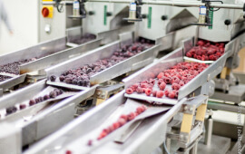 Food automation and engineering